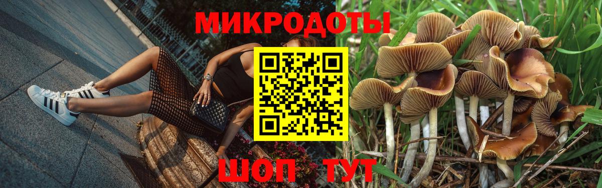 Псилоцибиновые грибы Magic Shrooms  Псилоцибиновые грибы Psilocybe  где найти   Вход с VPN  Наро-Фоминск 